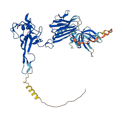 ADAMTSL5 3D structure