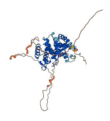 CCNI2 3D structure