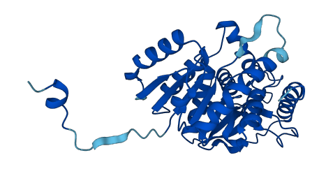 LDHAL6A 3D structure