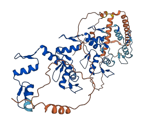 ZNF852 3D structure