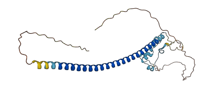 ZNF783 3D structure