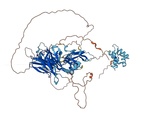 DTHD1 3D structure