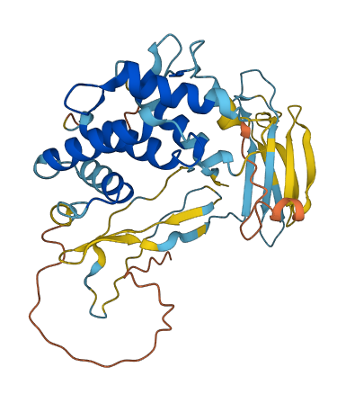 C3P1 3D structure