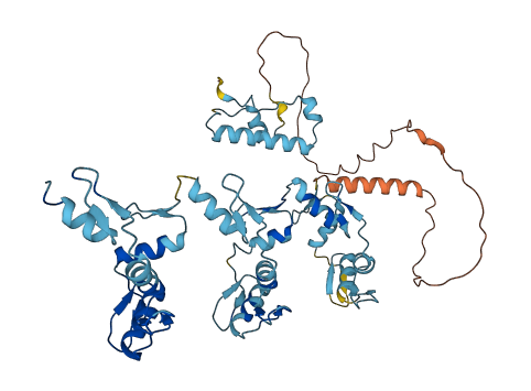 ZNF730 3D structure