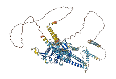 KIF6 3D structure