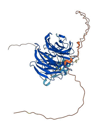 WDR88 3D structure