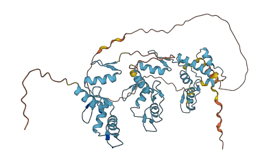ZNF517 3D structure