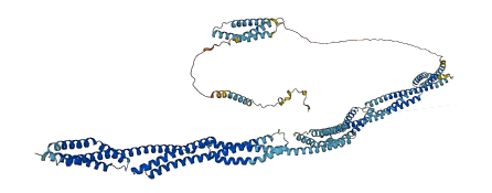 SYNE3 3D structure