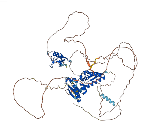 MEX3B 3D structure