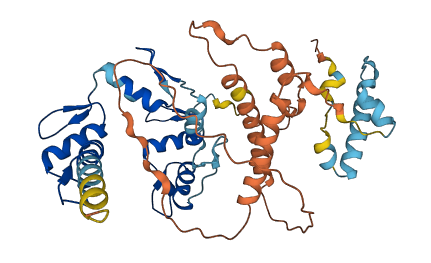 ZNF793 3D structure