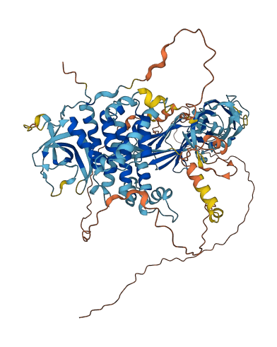 MACC1 3D structure