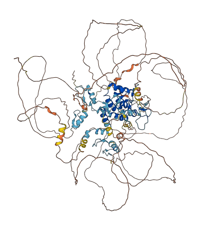 BNC2 3D structure