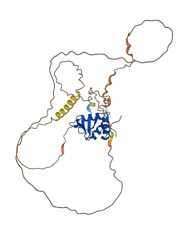 ETV3L 3D structure