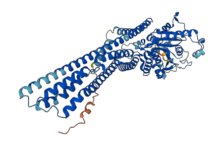 GBP6 3D structure
