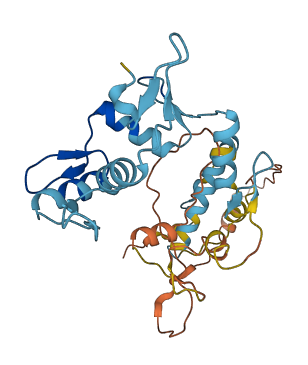 ZNF705A 3D structure