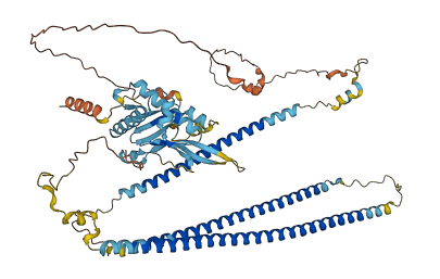 CCDC81 3D structure
