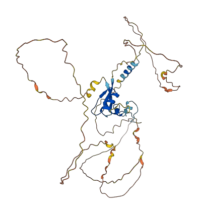 ZNF704 3D structure