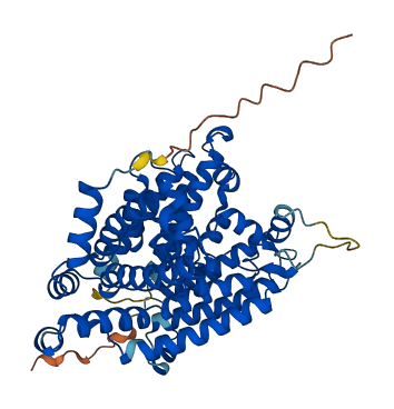 MBOAT1 3D structure