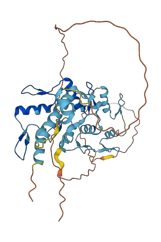 ZNF620 3D structure