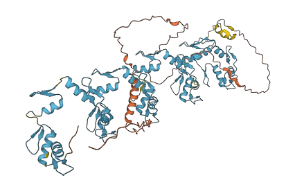 ZNF600 3D structure