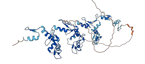 ZNF497 3D structure
