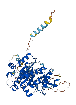 GCNT7 3D structure