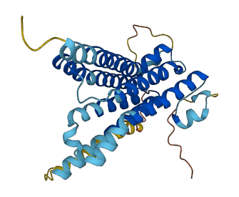 SLC66A1 3D structure