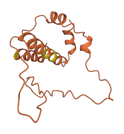 ATP11AUN 3D structure