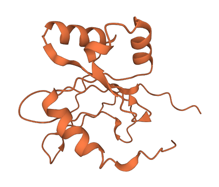 SDIM1 3D structure