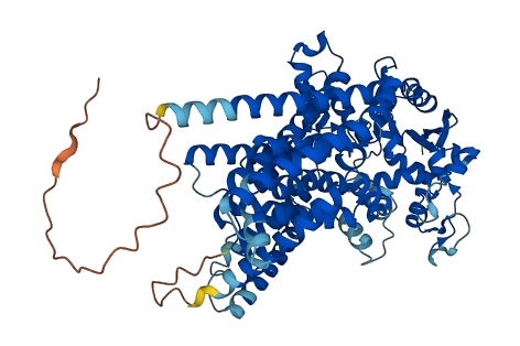 DPY19L3 3D structure