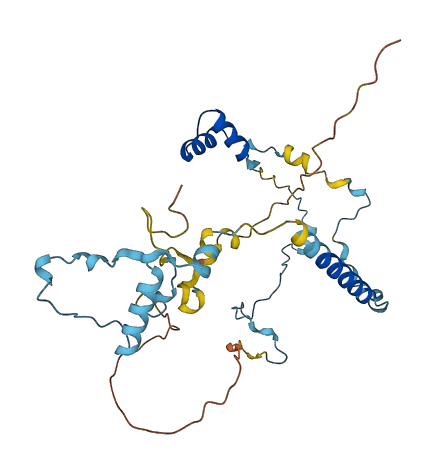 CFAP77 3D structure