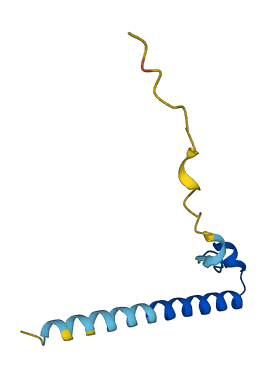 ZNF788P 3D structure