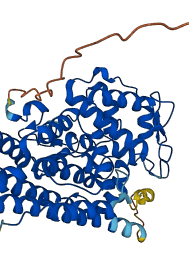 IDO2 3D structure