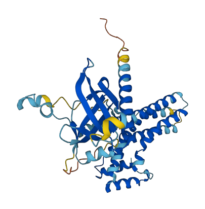 PLEKHG7 3D structure