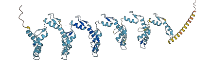 ZNF493 3D structure