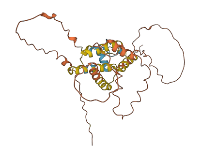 RTL4 3D structure