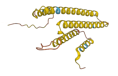C17orf107 3D structure