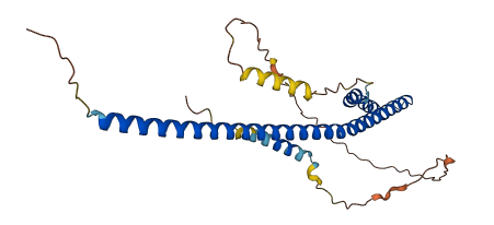 C4orf50 3D structure
