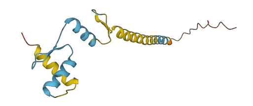 ZNF818P 3D structure