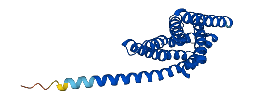 TLCD5 3D structure