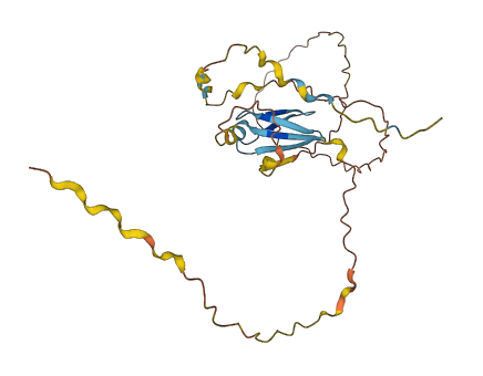 PRR23B 3D structure