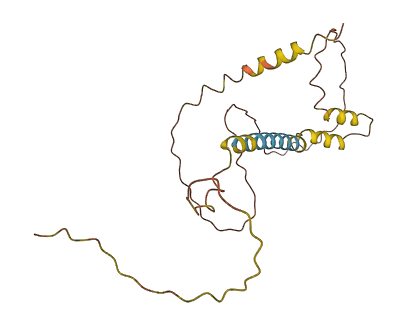 DNM1P46 3D structure