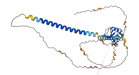 CLEC17A 3D structure