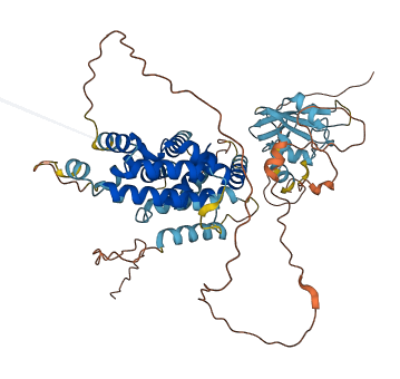 RINL 3D structure
