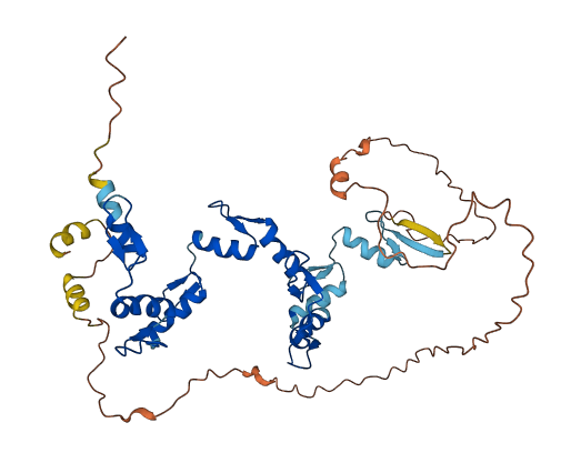 ZNF662 3D structure