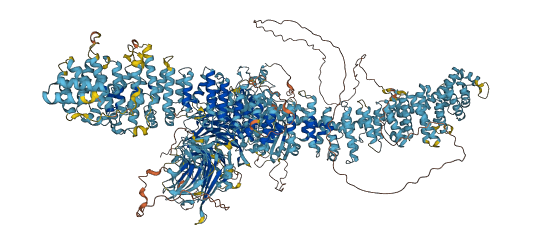 NBEAL1 3D structure