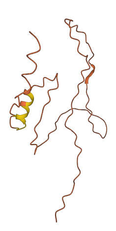 COLCA1 3D structure