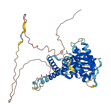 PEAK3 3D structure