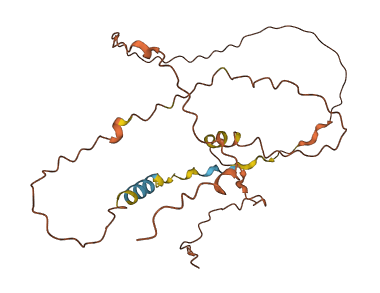 C1orf229 3D structure