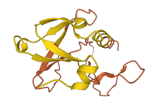LINC00299 3D structure